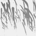 ִ鷨-- 2010-2011