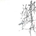 ִ鷨--ʵ
