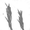 ִ鷨--ʵ2010--2012