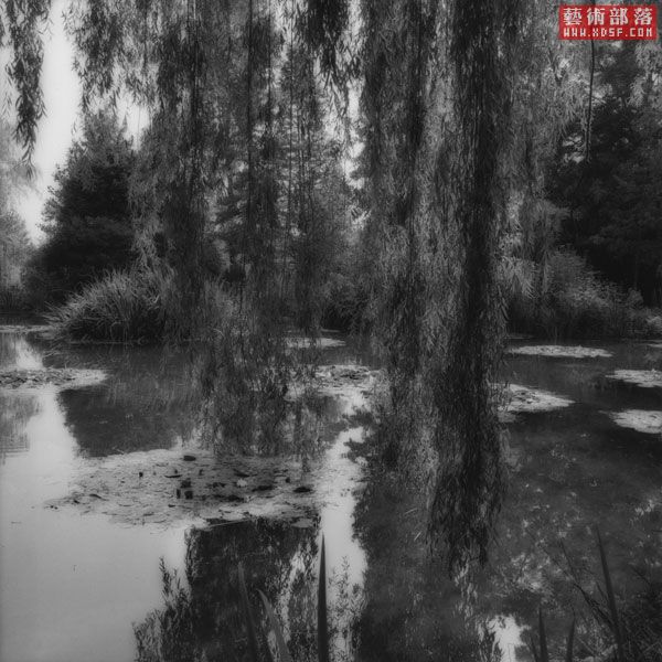 10_Giverny_Willows.jpg